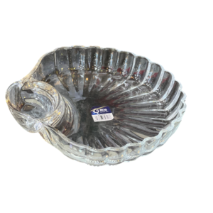 glass plate, seashell