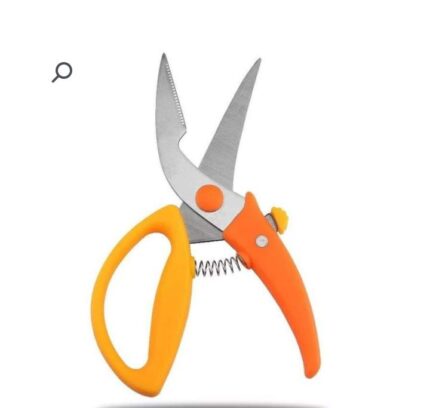Chicken scissors with spring