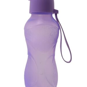 500 ml bottle