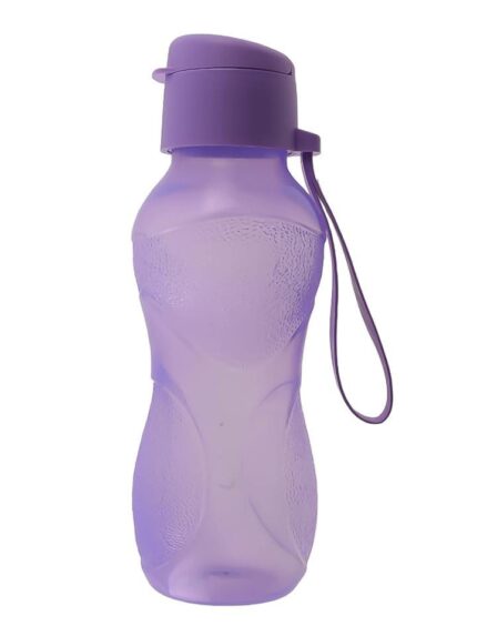 500 ml bottle