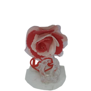 دولفين مع ورده داخل علبه بالنور