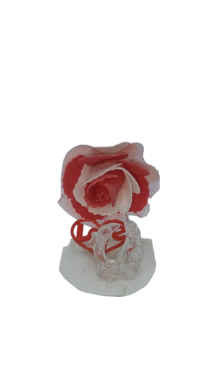 Dolphin with a rose inside a box with light