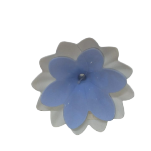 Suppress a rose, a duo