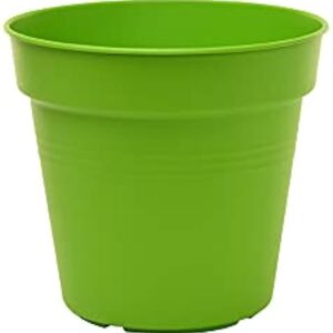 وعاء زرع مستدير مع طبق الوان، 15 سم 4 ق