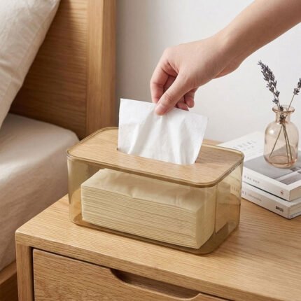 Clear acrylic plastic tissue box with a stylish wooden lid for the office
